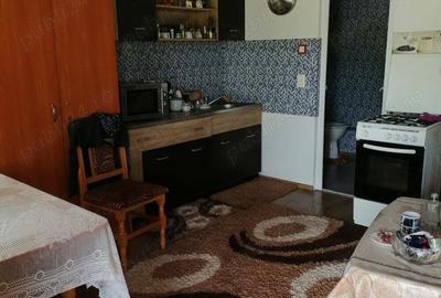 Casă cu 6 camere în Ibănești - 6