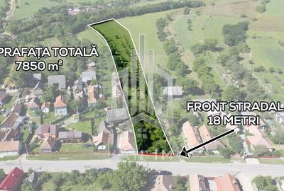 Teren Intravilan | 7.850 mp | Turia - 1