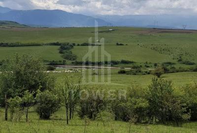 Teren de 11500 mp, în Daia - 6