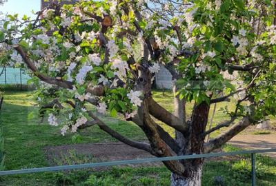 Casa cu etaj de vanzare in Ghimbav, Bra?ov zona li - 12