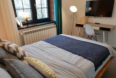 Apartament centru Domneasca, parc Eminescu, Spicu langa magazin Modern - 12