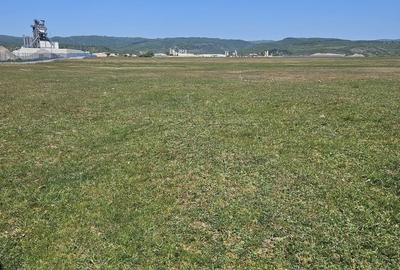 Teren agricol extravilan de 7346 mp, în Sud-Vest - 3