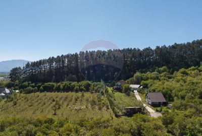 Comision 0%! Vila moderna, in mijlocul naturii - 22