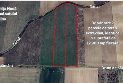 Teren extravilan de vânzare – Comuna Moșnița Nouă, sat Albina, jud. Timiș - 1