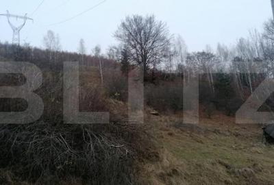 Teren de 140000 mp, în Central - 4