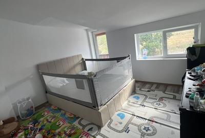 Casă cu 8 camere cu Teren 10800 Mp în Galicea - 10