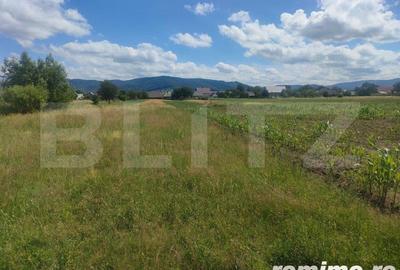 Teren intravilan la sosea, 6400 mp, Vicov de Sus - 3