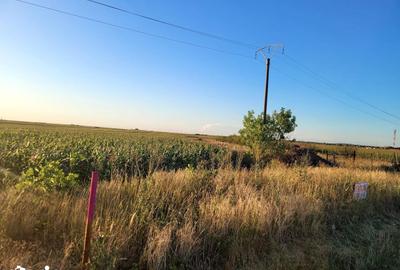 Teren de 5500 mp, în Nojorid