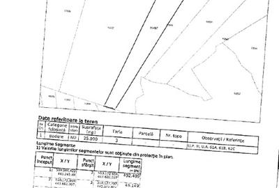 Teren agricol extravilan de 50000 mp, în Rucăr - 6