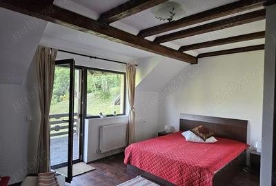 Casă cu 5 camere cu Teren 6842 Mp în Brădetu - 1