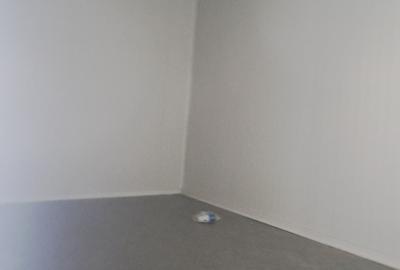 Drumul intre Tarlale, sector 3, hala 590 mp - 10