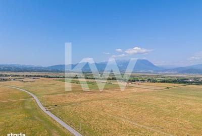 Spațiu comercial, în Părău - 10