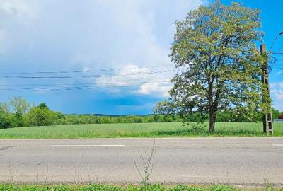 Proprietate com.Bodesti, casa + anexe + teren 7481 mp - 1