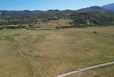 Teren de 14500 mp, în Glăjărie - 3