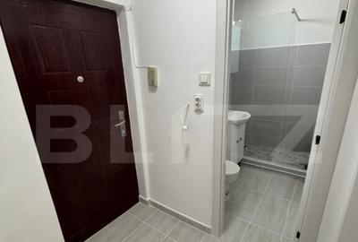 Garsonieră decomandată în Noua - 3