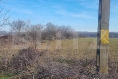 Teren în Lipănești - 2