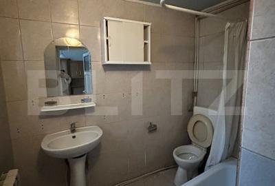 Doua case + teren 246 mp | Domenii – Chibrit | - 3