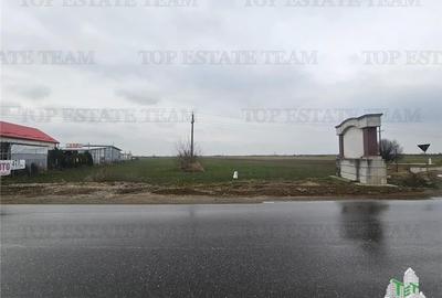 Teren comercial 7169mp la baza nod km35 pe A1 - 5