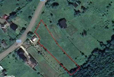 Teren de 3833 mp, în Mălini - 2