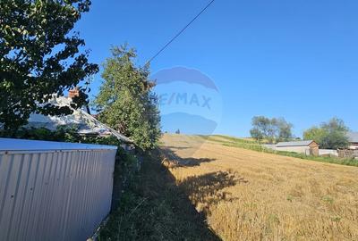 Teren Construcții intravilan de 7500 mp, în Moara Carp - 3