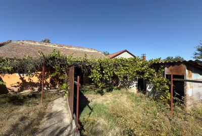 Casa 3 camere , teren 1438 mp - Fratelia - 2