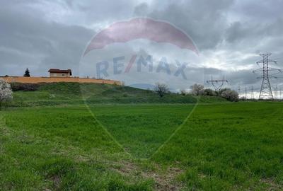 Teren Construcții intravilan de 5262 mp, în Manolache