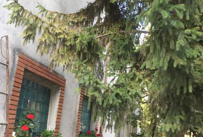 Teren intravilan de 490000 mp, în Iancu Jianu - 5