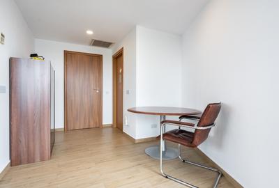 ULTRA-CENTRAL: Penthouse de 243 mp (Terasă 105 mp!) cu View Spectaculos - 24