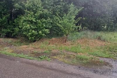 Vand hala + teren intravilan Vand hala + teren intravilan - 4