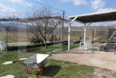 Blitz Arad va ofera spre vanzare casa superba in Loc. Varfur Blitz Arad va ofera spre vanzare casa superba in Loc. Varfur - 2