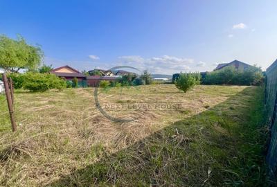 Teren Bod intravilan, Poiana Craitelor - 6