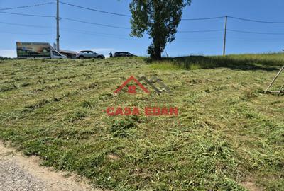 ●Teren intravilan in Breaza 4852mp 17e/mp● - 9
