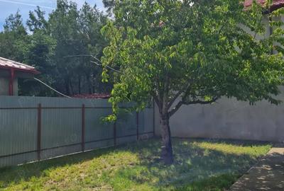 Casă cu 6 camere în Pantelimon - 4