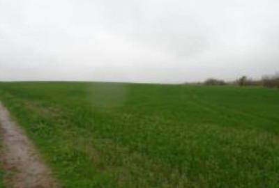 Teren de 12500 mp, în Central - 2