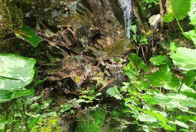 Casă cu 3 camere în Central - 12