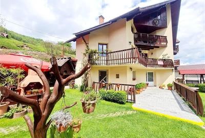 Tu 3D! Pensiune in areal pretios, Moieciu, Bran, Brasov - 17