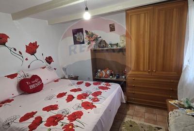 Casă cu 4 camere în Stanca - 14