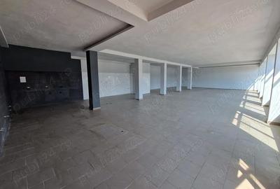 Spațiu comercial, de 530 mp, în Lacurile - 4