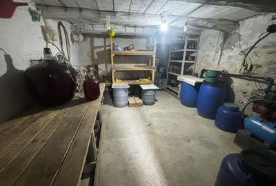 Casă 3 camere 100 M² cu 2360 M² teren - 18