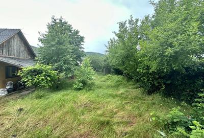 Casa Individuala 150 mp, teren 900 mp, zona Ioachim Olteanu Casa Individuala 150 mp, teren 900 mp, zona Ioachim Olteanu - 2