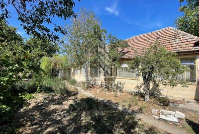 Casa cu teren 3407 mp, la asfalt, Seceani, 26 km de Timisoara. - 1