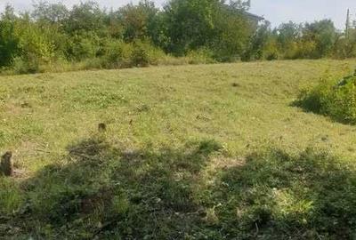 Teren de 2000 mp, în Seciu - 7