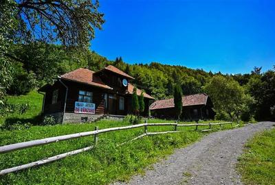 FILM! Casa cu farmec autentic armonizata de 4.300 mp teren,Bran,Simon,Brasov - 3