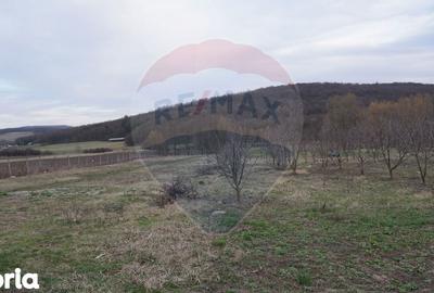 Teren de 517 mp, în Mărgineni