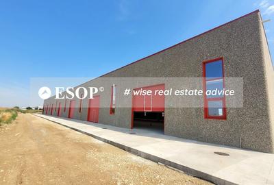 Hale industriale, parc modern, Rudeni, Chitila, Ilfov- ID 15462 Hale industriale, parc modern, Rudeni, Chitila, Ilfov- ID 15462 - 22