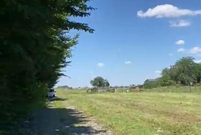 Spațiu comercial, în Sânpaul - 2