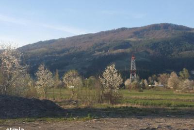 Teren de 13476 mp, în Pângărați