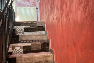 Casă cu 3 camere în Balciu - 8