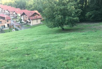 Teren Construcții intravilan de 2900 mp, în Noua - 2