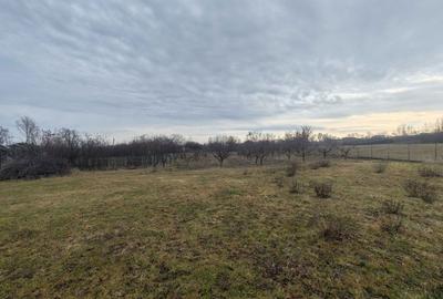 Casă cu 3 camere în Lișna - 5